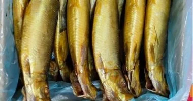 التموين تعلن فتح منافذ المجمعات الاستهلاكية غدا خلال شم النسيم لطرح الرنجة والأسماك للمواطنين