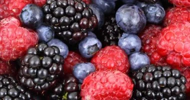 التوت: 7 فوائد صحية أساسية للدماغ والقلب في موسمه