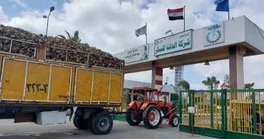 الدلتا للسكر توضح أسباب زيادة السحب على المكشوف إلى 5.5 مليار جنيه وتكاليف حماية المنتج الوطني