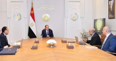 السيسى يوجه بالتوسع فى مشروعات الطاقة المتجددة لضمان استقرار الشبكة القومية للكهرباء