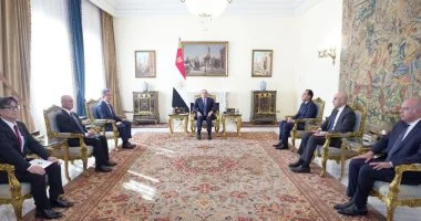 السيسي يؤكد لرئيس جامعة هيروشيما حرص مصر على توسيع التعاون التعليمي والتكنولوجي مع اليابان