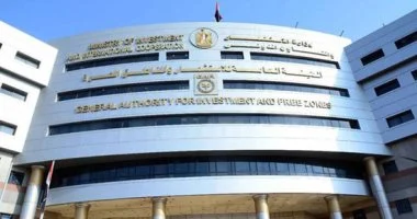 انطلاق الجلسة التحضيرية لمنتدى رجال الأعمال المصري الفنلندي لتعزيز التعاون الاستثماري المشترك