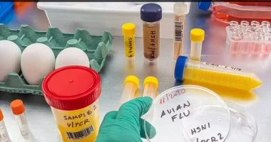 بريطانيا تجري تجربة لقاح جديد لإنفلونزا الطيور تحسباً لوباء عالمي