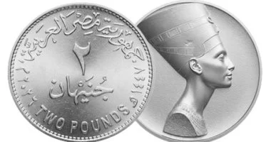 بعد مناقشته في مجلس الشيوخ.. المالية تؤكد طرح كميات كافية من العملة المعدنية كمصدر أساسي