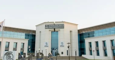 تنفيذ 833 برج محمول جديد بتمويل 50% من صندوق الخدمة الشاملة لتحسين التغطية بالقرى