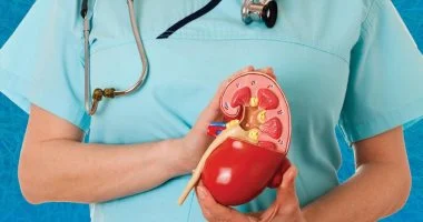 حصوات الكلى: دليلك الغذائي لتجنب الأطعمة الضارة وتعزيز الشفاء