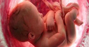 دراسة: الأم تضبط الساعة البيولوجية للجنين قبل الولادة