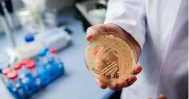 دراسة: دواء للضغط الدم يقضي على بكتيريا مقاومة للمضادات الحيوية