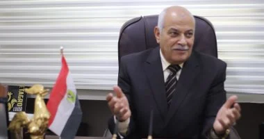 رئيس شعبة الدواجن القطاع يوفر 75% من بروتين المصريين واستقرار الأسعار ضرورة قصوى للمنتجين