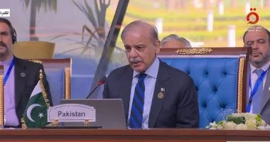 رئيس وزراء باكستان يثمن دعم مصر ودول المنطقة لجهود وقف إطلاق النار وتحقيق السلام