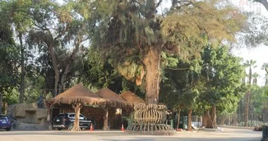 رسمياً.. تغيير اسم حديقة الحيوان بالجيزة إلى جنينة الحيوانات ضمن خطة التطوير الشاملة