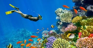 سيناء تستقبل طفرة سياحية كبرى بطاقة 63 ألف غرفة فندقية وتطوير شامل للمواقع الأثرية