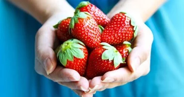 صادرات مصر الزراعية تقفز لـ 4.2 مليار دولار بقيادة الفراولة خلال عام 2025