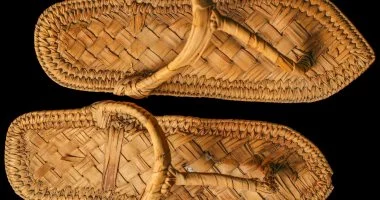 متحف الأقصر يفتتح معرض النخيل رمز الحياة والاستدامة احتفالاً بيوم التراث العالمي