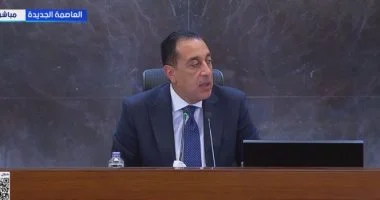 مدبولي: العالم استقبل وقف إطلاق النار بارتياح ومصر تواصل جهودها لترسيخ السلام بالمنطقة