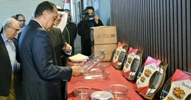 مدبولي يفتتح مصنع بوريكس للزجاج بالسخنة ويؤكد استمرار دعم الدولة لتعميق التصنيع المحلي