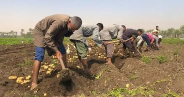 مركز المناخ يحذر من موجة حرارة تلامس 40 درجة ويوجه توصيات عاجلة للمزارعين