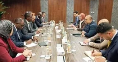 مصر تبحث التعاون مع الهيئة الإفريقية لدعم قطاعي البترول والتعدين وجذب الاستثمارات الجديدة