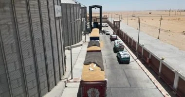 مطاحن الجيزة تتحول للربحية وتكشف خطة سداد مديونياتها لهيئة السلع التموينية