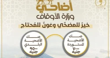 وزارة الأوقاف تعلن إتاحة صكوك الأضاحي بنظام التقسيط لمدة 6 شهور دون فوائد لأول مرة