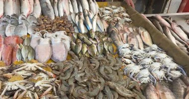 وزارة الزراعة ترفع درجة الاستعداد لشم النسيم وتكثف الرقابة على الأسماك المملحة بالأسواق