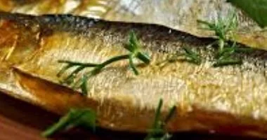 وزارة الصحة تصدر إرشادات عاجلة لتناول الفسيخ والرنجة وتجنب التسمم في شم النسيم