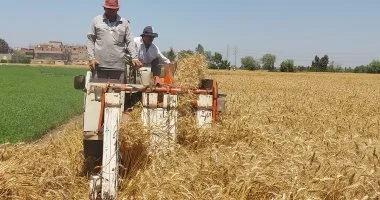 وزير التموين يعلن استهداف توريد 5 ملايين طن قمح محلي لتعزيز المخزون الاستراتيجي ونقص الاستيراد