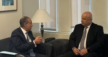 وزير الخارجية يؤكد لمسئول بالبنك الدولي رفض مصر القاطع للإجراءات الأحادية في حوض النيل