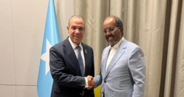 وزير الخارجية يؤكد مواصلة دعم مصر للصومال وتعزيز الشراكة الاستراتيجية بمختلف المجالات وتفعيل التعاون المشترك