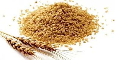 وزير الزراعة يعلن زيادة إنتاجية فدان القمح لـ 20 إردبًا بعد استنباط أصناف جديدة