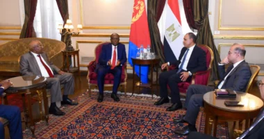 وزيرا الخارجية والاستثمار يبحثان مع وفد إريتري تعزيز التعاون الاقتصادي والملفات الإقليمية المشتركة
