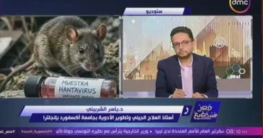 أستاذ مناعة ببرنامج مصر تستطيع: لا مقارنة بين كورونا وفيروس هانتا