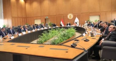 الأعلى للجامعات يوافق على إنشاء فرع لجامعة القاهرة بدولة إريتريا