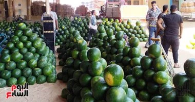 البطيخ فى بلطيم.. وزارة الزراعة تكشف السبب الحقيقى لعدم ظهور المحصول