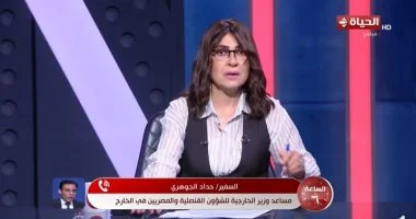 الخارجية: البحارة المصريين على السفينة المخطوفة قبالة سواحل الصومال بصحة جيدة
