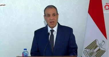 «الخارجية»: مؤتمر للمصريين بالخارج في أغسطس ورقمنة شاملة للخدمات القنصلية وقضايا الإقليم أمام «الشيوخ»