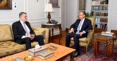 «الخارجية» و«النواب» يبحثان إعداد الاستراتيجية الوطنية الثانية لحقوق الإنسان 2026-2031