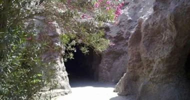 الزراعة تعلن استقبال حدائق الحيوان الإقليمية والأسماك 38 ألف زائر فى العيد