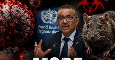 الصحة العالمية: إجلاء 120راكبا من سفينة فيروس هانتا فى 9 رحلات من 8 دول