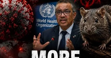 الصحة العالمية: متابعة 600 مخالط لفيروس هانتا وسلالة أنديز لا تشبه كورونا