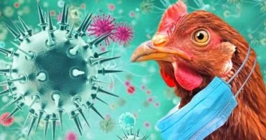 بدء تجربة أول لقاح للبشر ضد فيروس إنفلونزا الطيور ..كيف يعمل
