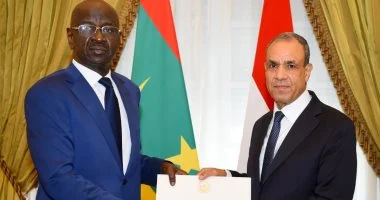 بدر عبد العاطى يتسلم رسالة خطية موجهة إلى الرئيس السيسى من نظيره الموريتانى