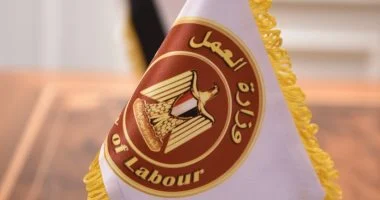 برواتب تصل لـ 25 ألف جنيه.. وزارة العمل تعلن عن فرص عمل للسائقين بميناء دمياط