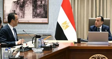 بمشاركة 31 شركة.. «الوزراء» يتابع موقف «الرواد الرقميون» بعد قبول 1674 شاباً بالدفعة الأولى