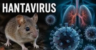 جدل حول فيروس هانتا.. أطباء يكشفون الخرافات ويصححون المفاهيم