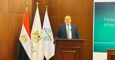 حسن عبد الله: مصر تستضيف الاجتماعات السنوية للبنك الإفريقى للتصدير والاستيراد