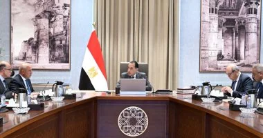 رئيس الوزراء يستعرض جهود تعزيز الربط والتبادل التجارى مع الدول الإفريقية