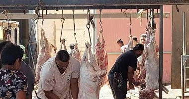 طوال العيد.. فتح المجازر الحكومية بالقاهرة مجانا لاستقبال أضاحي المواطنين