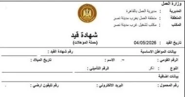 عبر «مصر الرقمية».. «العمل» تتيح استخراج كعب العمل إلكترونيًا خلال 24 ساعة لراغبي التوظيف