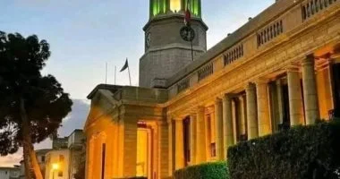 قصر العيني: علاج حالة نادرة لمعاناة طفل “الصواعق الكهربائية” بأبو الريش